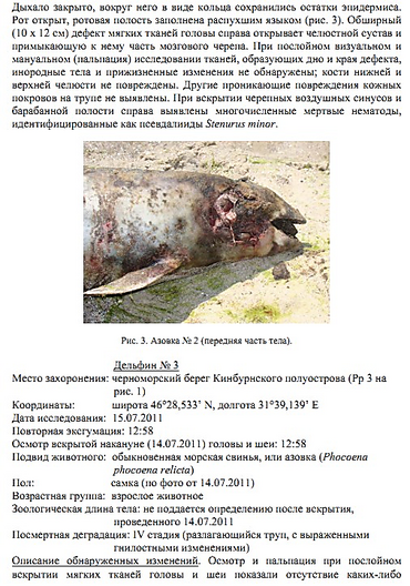 Дело о массовой гибели дельфинов в Тендровском заливе решили «замять»? ОТЧЕТ о работе комиссии Минэкологии - Copyright https://news.pn