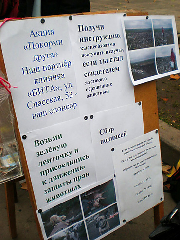 In Nikolaev sammeln Unterschriften gegen den Aufbau eines Schutz für Tiere auf einer Müllkippe - Copyright https://news.pn
