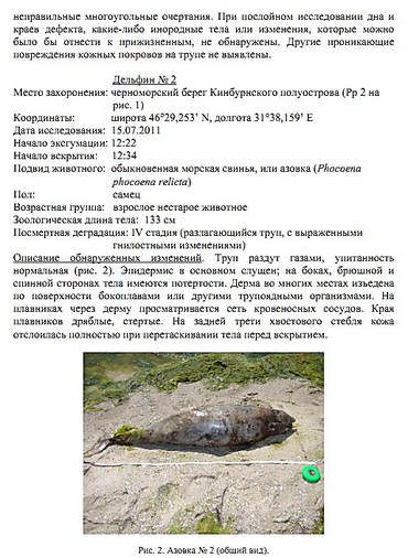 Дело о массовой гибели дельфинов в Тендровском заливе решили «замять»? ОТЧЕТ о работе комиссии Минэкологии - Copyright https://news.pn