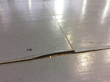 В сети появились фото последствий затопления дождём паркета баскетбольного зала в николаевском спорткомплексе «Надежда» - Copyright https://news.pn