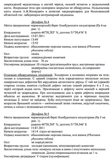 Дело о массовой гибели дельфинов в Тендровском заливе решили «замять»? ОТЧЕТ о работе комиссии Минэкологии - Copyright https://news.pn