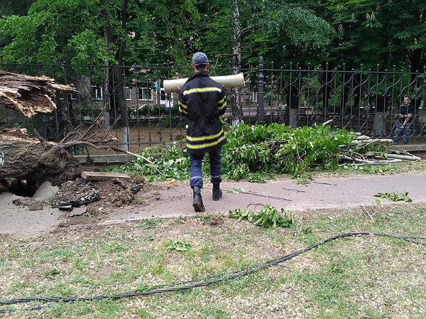В Николаеве упавший тополь полностью перегородил проезд по улице - Copyright https://news.pn