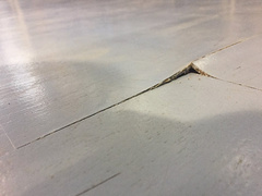 В сети появились фото последствий затопления дождём паркета баскетбольного зала в николаевском спорткомплексе «Надежда» - Copyright https://news.pn