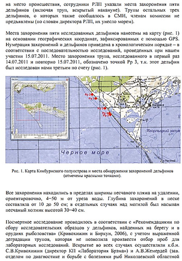Дело о массовой гибели дельфинов в Тендровском заливе решили «замять»? ОТЧЕТ о работе комиссии Минэкологии - Copyright https://news.pn