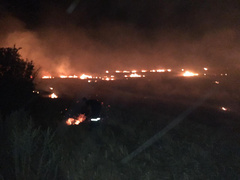 За сутки 26 июля пожарные девять раз привлекались к тушению пожаров на открытых территориях в Николаевской области.
