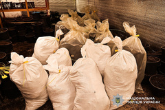 На Миколаївщині поліція викрила наркобізнес із збутом через пошту: затримано трьох підозрюваних - миколаївку та двох жителів Кривого Рогу - Copyright https://news.pn