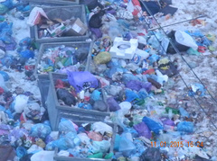 Жители семи многоэтажных домов в переулке Кобера в Николаеве грозят мэру Юрию Гранатурову привезти мусорную свалку, образовавшуюся в их дворе из-за бездеятельности соответствующих служб, под окна горисполкома.