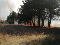 В Николаевской области 23 сентября зафиксировали восемь пожаров в экосистемах