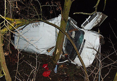 В Житомирской области на автодороге Новоград-Волынский - Барановка микроавтобус Mercedes Sprinter съехал с дороги в кювет, где перевернулся на крышу и столкнулся с деревом.