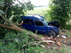 На 74-м километре трассы М-14 «Одесса-Мелитополь-Новоазовск» Березанского района Николаевщины съехал в кювет и столкнулся с деревом «Renault».