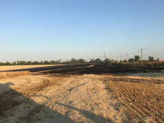 В селе Кринички Николаевского района Николаевской области в воскресенье, 7 июля, из-за пожара выгорело 1,5 гектара стерни.