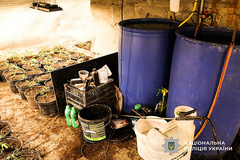 На Миколаївщині поліція викрила наркобізнес із збутом через пошту: затримано трьох підозрюваних - миколаївку та двох жителів Кривого Рогу - Copyright https://news.pn