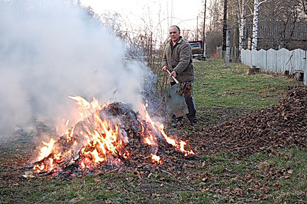 как сжигать листья на даче
