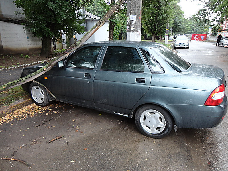 В центре Николаева сломанная ветром ветка разбила автомобиль