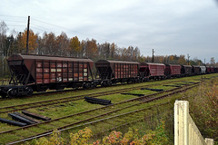 Частное предприятие пыталось взыскать с «Одесской железной дороги» 8 миллионов гривен за задержанный боевиками груз пшеницы прошлым летом в Луганске.