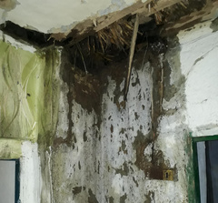 В Николаевской области спасатели потушили пожар частного дома, который быстро распространялся из-за крыши из камыша.