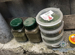 В Николаеве полиция нашла в доме на улице 1-й Ялтинской небольшую плантацию с 116 кустами конопли.