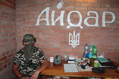 Министерство обороны проведет служебную проверку в отношении деятельности бойцов батальона «Айдар» в Луганской области
