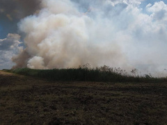Во вторник, 17 июля, в Березанском районе Николаевской области горело поле.