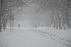 В Николаевской области 7-8 февраля ожидается осложнение погодных условий снег, местами сильный, метель, гололед, на дорогах гололедица, снежный накат.
