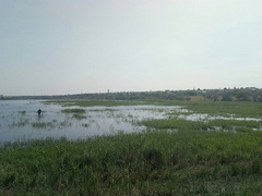На Николаевщине 15 июля водолазы обнаружили в пруду на территории Витовского района тело утонувшего 66-летнего мужчины.
