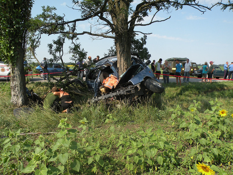 Результат пошуку зображень за запитом "автомобіль врізався в дерево"
