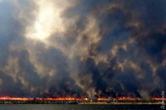 На территории Нижнеднестровского природного национального парка сегодня ночью возник пожар.