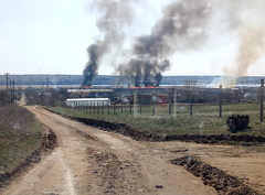 В селе Гурьевка в Николаевской области горит камыш.