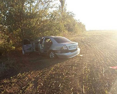 Вблизи поселка Заселье Витовского района в Николаевской области утром 5 октября водитель автомобиля «Mercedes» сбил насмерть пешехода.