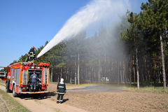В Николаевской области 24-25 апреля спасатели провели учения по тушению лесных пожаров.