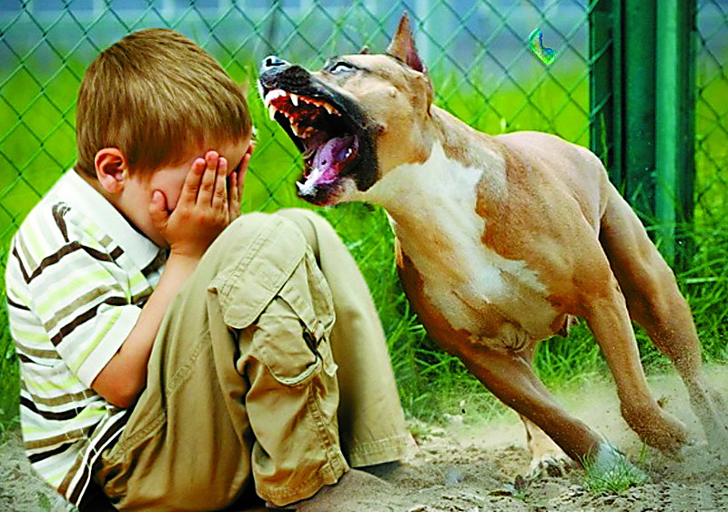  <a href=http://guru.ua/nikolaev/ target=_blank></a>    22   
