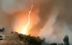 В Сети появилось редкое видео огненного смерча, возникшего в Португалии в результате масштабных лесных пожаров.