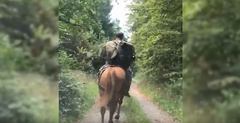 В Черновицкой области 13 августа пограничники обнаружили контрабандистов, которые на конях пытались переправить сигареты в Румынию.