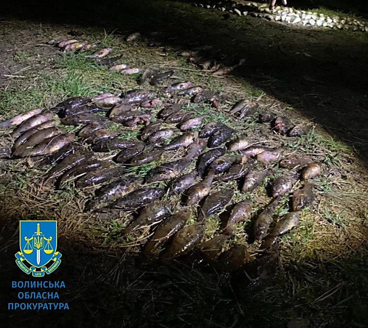 На Волыни мужчину за вылов рыбы в период нереста оштрафовали почти на ...