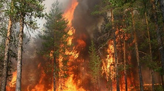 В Черниговской области произошло возгорание на территории Межреченского регионального ландшафтного парка.