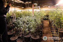 На Миколаївщині поліція викрила наркобізнес із збутом через пошту: затримано трьох підозрюваних - миколаївку та двох жителів Кривого Рогу - Copyright https://news.pn