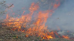 В Кировоградской области 30 марта при попытке погасить пожар сухой травы пострадали четыре подростка.