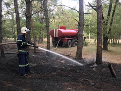 В Николаевской области на территории двух лесничеств горела хвойная подстилка и вероятной причиной этого является поджог.