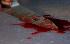 В Николаеве в одной из квартир на улице Артиллерийской 32-летний николаевец во время ссоры нанес удары кухонным ножом в ногу владельцу жилья - мужчина скончался из-за кровотечения