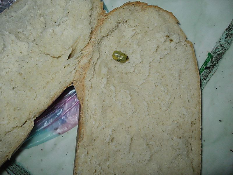 хлеб с наркотиками