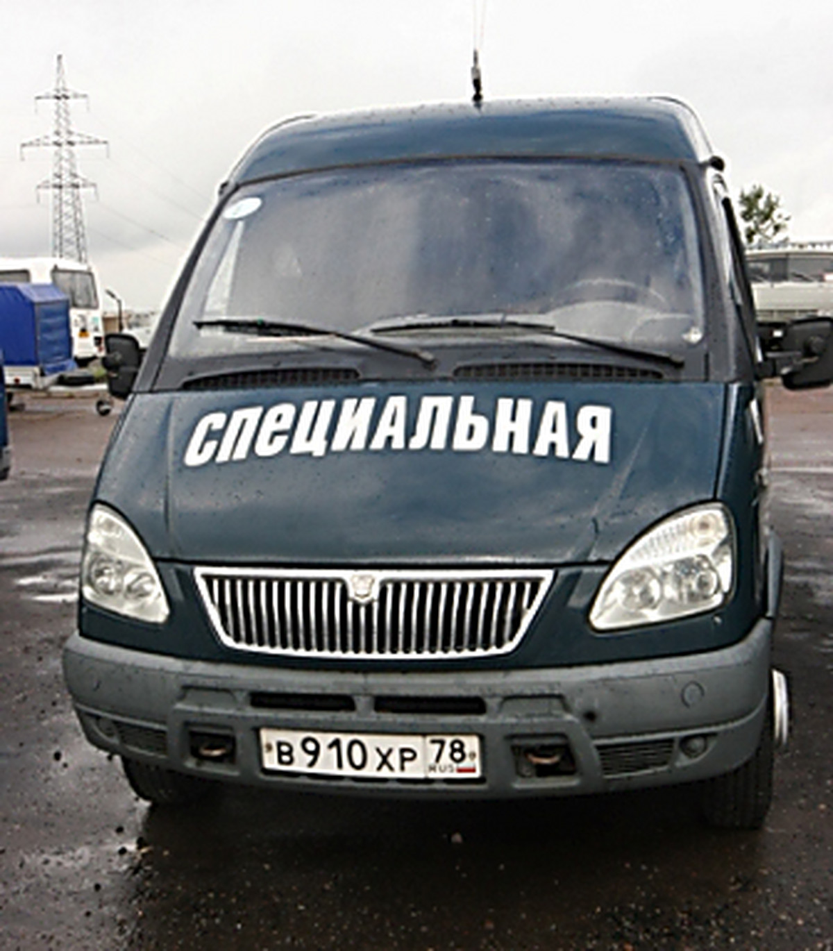 Лучшая ветеринарная клиника в перми отзывы