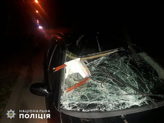 Полицейские задержали водителя автомобиля, который насмерть сбил женщину в Вознесенске.