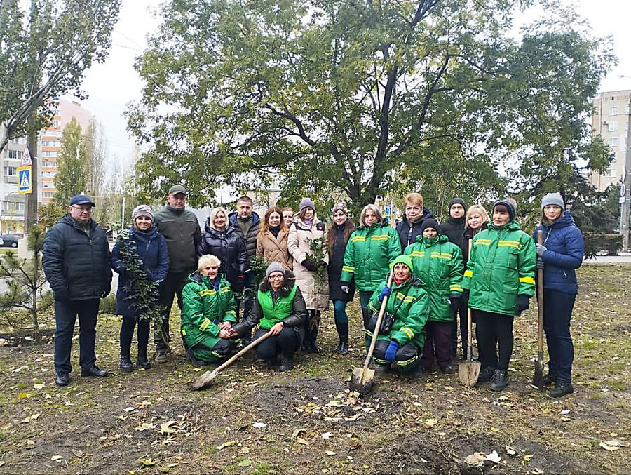 Подставка под горячее из дерева купить личного пользования