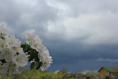 В Николаеве и области 30 апреля в ближайшие час-два ожидают грозы.
