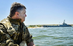 Президент Украины Петр Порошенко заявил, что в Украине мобилизация остановлена и все усилия направлены на создание профессиональной контрактной армии.