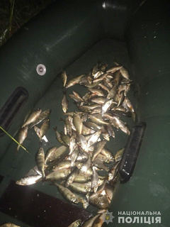 В Снигиревском районе Николаевской области 15 августа полиция и рыбоохрана задержали трех мужчин, которые занимались браконьерским выловом рыбы.