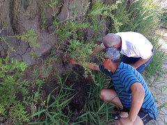 В Николаевской области между слами Лиманы и Лупарево местные жители обнаружили человеческие останки.
