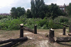 Подрядчики фирмы «Ленд Дивелопмент» вырубили последние деревья в сквере Яланского в Запорожье - на участке от проспекта Соборного до здания цирка. Таким образом было завершено уничтожение сквера, начавшееся еще в июле.