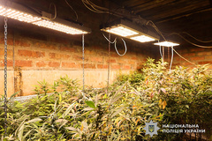 На Миколаївщині поліція викрила наркобізнес із збутом через пошту: затримано трьох підозрюваних - миколаївку та двох жителів Кривого Рогу - Copyright https://news.pn